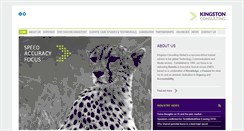 Desktop Screenshot of kingston-consulting.com